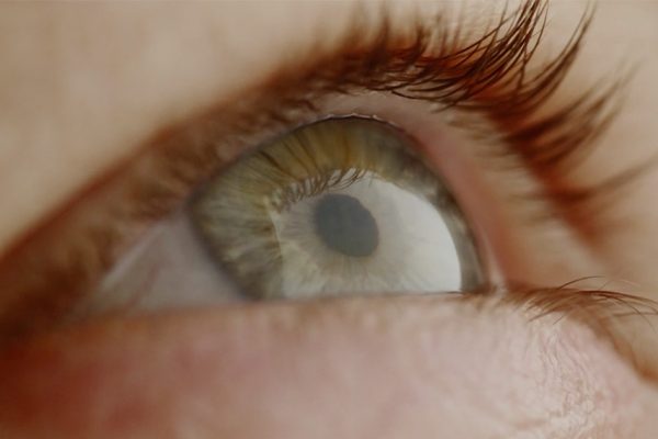 amgbahis üyelik görseli