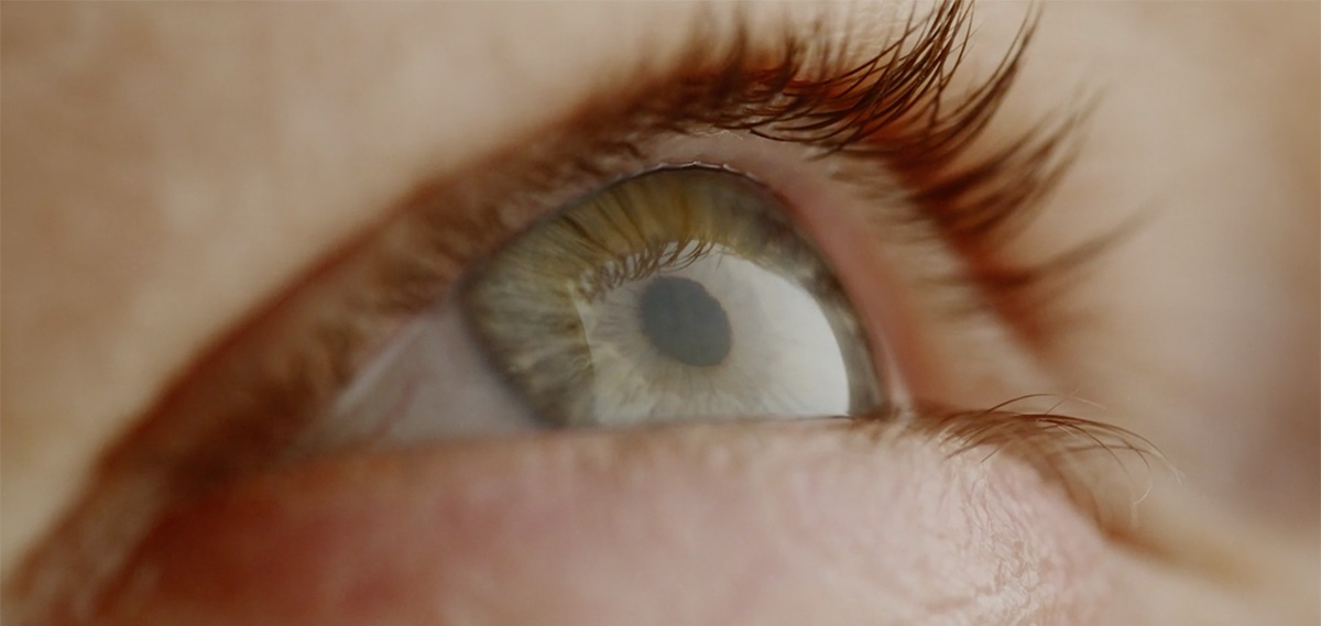 Amgbahis bonus ve üyelik rehberi